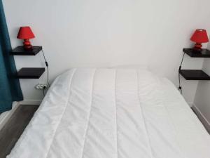 Appartement cosy 2 pièces cabine, terrasse, WIFI, parking privé, proche plage à Marseillan - FR-1-326-516