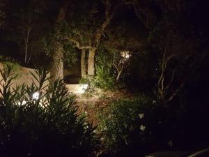 Mas avec 3 chambres, jardin, piscine, tennis et proche plage à La Croix-Valmer - FR-1-100-152