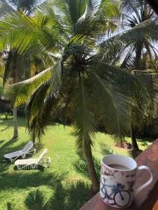 Candle House - Bombuwala