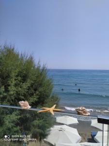 AKTIS MAKRIGIALOS LUXURY APTS