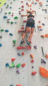 Apigîte68, proche route des vins, Vosges, Colmar et non loin dEuropa-Park!