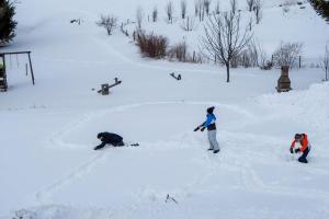 Gîte SOLDANELLE - 15 personnes - "Les Gites du Chalet" à Autrans
