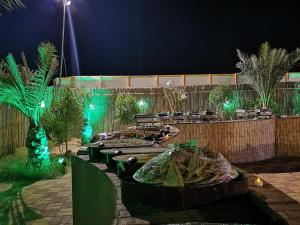Dream Night Tourism LLC