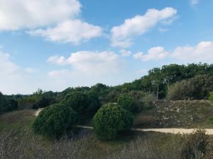 Maison du Plantin jardin & calme