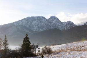 Polana Szymoszkowa Apartment with Mountain View by Renters