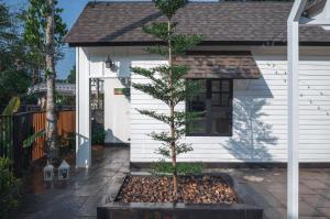 The Little Acres Cherai