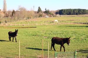 B&B / Chambres d'hotes Chambre en campagne a 15 min Circuit ! : photos des chambres