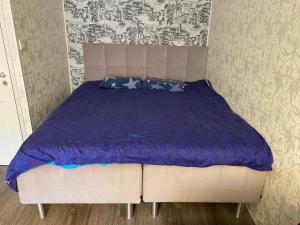 Lovely Studio in Kallio