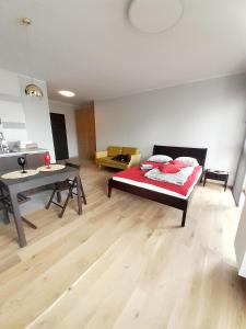 Apartament KORONA KIELCE plastpol targi Nowość ! centrum free parking, ściegiennego