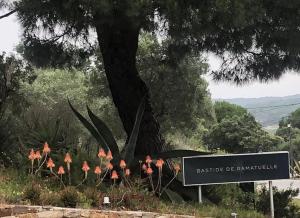 Hotels BASTIDE DE RAMATUELLE : photos des chambres