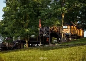 GLAMPING IZLETIŠTE BANOVAC - Pračno