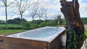 REMANSO DE TRASFONTAO "Casa do Campo"