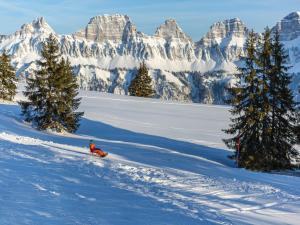 Seeblick SMART Hotel Rössli