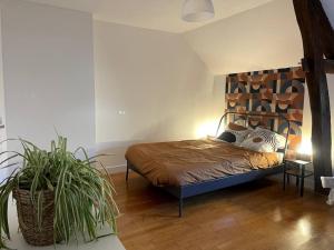 Appartements Gite Le Baulois, maisonnette calme et confort en vallee de Loire : photos des chambres