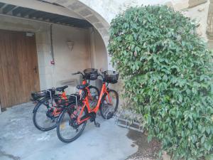 Appart'hotels Le Clos Violette et Le 11 D'Aglae - Appart' hotel Design de Luxe : photos des chambres