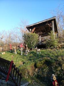 Maisons de vacances Gite du Durrenbach : photos des chambres