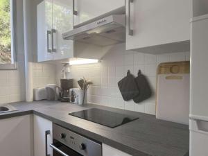 Appartements Appartement renove avec clim, parking et terrasse a 500m du port - FR-1-225C-113 : photos des chambres