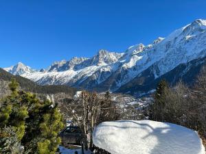 Logement avec jardin et vue panoramique MontBlanc