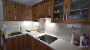 Prijetno stanovanje v bližini Term 3000 - Vivat