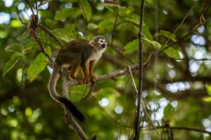 Bangalô Ponta de Areia, na beira da praia