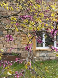 Maisons de vacances Le petit Chacel : photos des chambres