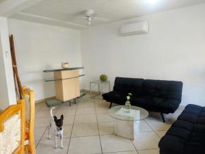 Casa Azur- vista al mar y alberca