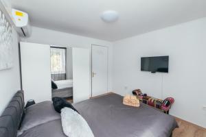 Seaside holiday house Luka, Dugi otok - 20212