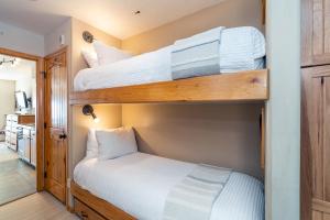 Walk to Ski! Bay Window View of River & Ski Mountain condo