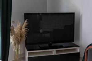 Le cosy : proche cdg-parc des expo-Paris-Disney