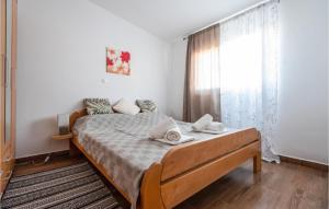 Amazing Apartment In Zdrelac With Wifi And 1 Bedrooms