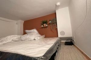 Appartements Charmant cocon au coeur de Dijon : photos des chambres