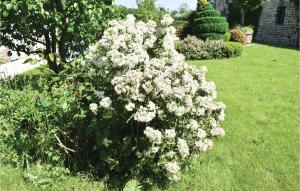 Gorgeous Home In St Pierre Langers