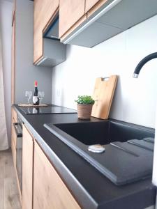 Apartament DanHouse