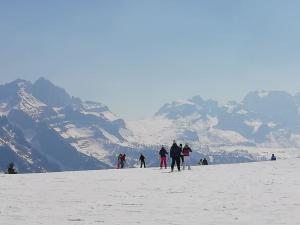 Appartamento Dimaro Folgarida Daolasa ski
