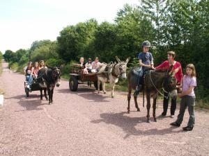 Campings Ecuries Leseigneur - Camping Insolites : photos des chambres