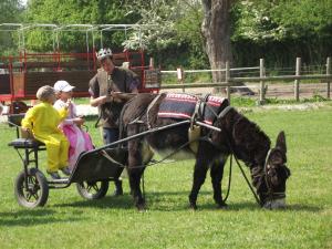 Campings Ecuries Leseigneur - Camping Insolites : photos des chambres