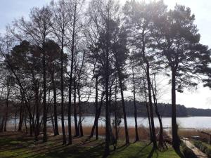 Penthouse Bernd im Waldschlösschen direkt am See