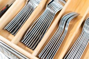 Cacti - Cactyou - Cactus