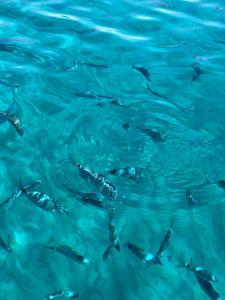 Villa Fatta di Sogni img71