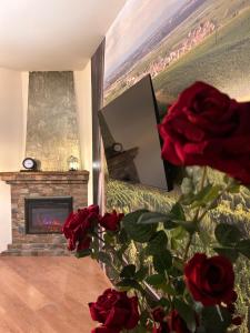 Appartements Esprit ALSACE: 70m2 de charme : photos des chambres