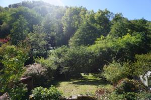 Maisons de vacances Les Hiboux : photos des chambres