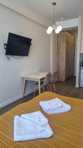 Gudauri ALPIC 411 with Stunning Mountain View