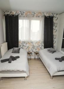 Appartements Le nid douillet : photos des chambres