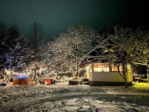 Biniște -Tiny House by the river
