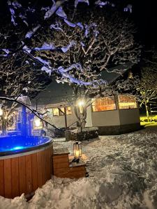 Biniște -Tiny House by the river