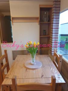 Beckys Caravan at Marton Mere