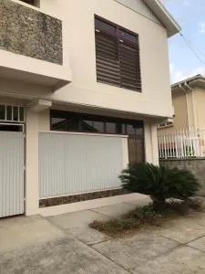 NMG Comforts - Fond Cani