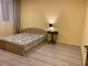 Butas pačiame miesto centre - Ryškėnai