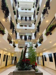 Cozy Baguio Staycation Near John Hay Fast Wi-Fi Own Parking