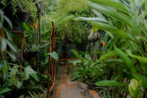 Ruwan Jungle Homestay